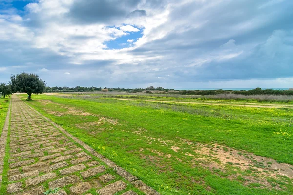 Selinunte arkeolojik alanında peyzaj