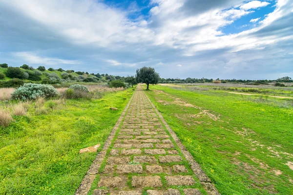 Krajobraz w archeologicznego Selinunte — Zdjęcie stockowe