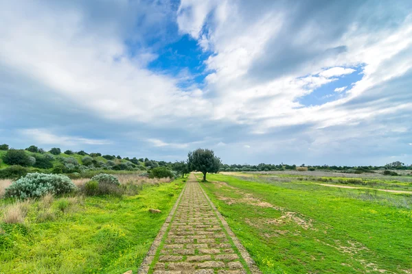 Krajobraz w archeologicznego Selinunte — Zdjęcie stockowe