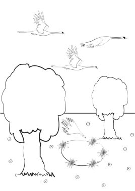 Kuğular ve bir gölet ile boyama sayfası; orman boyama sayfası üzerindeki kuşlar