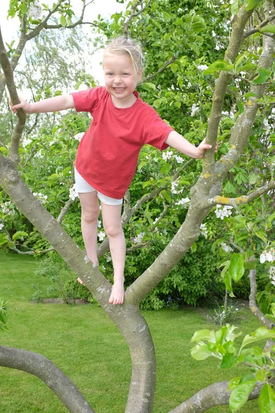 Arrampicata — Foto Stock