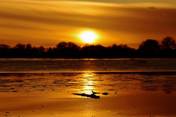 Красиві помаранчевого заходу сонця — стокове фото