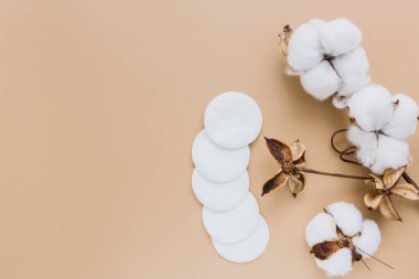 Cotton pads for removing makeup and branch of cotton plant on beige background, flat lay. Eco friendly concept. Natural background. Copy space.