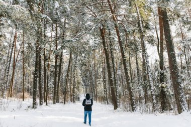 Kış manzarası. Ormandaki adam, arka plandaki karlı ağaçlara karşı. Turist resimli manzaranın arka planına karşı duruyor.
