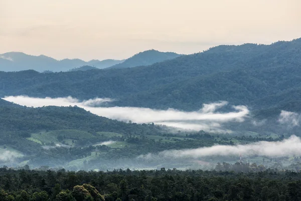 Niebla sobre montañas verdes — Foto de Stock