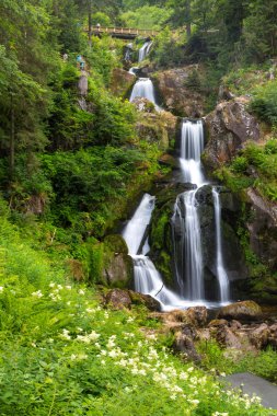 Almanya'da Triberg şelaleler
