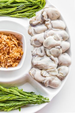 Taze istiridye hizmet 