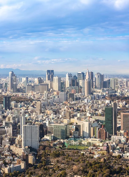 Tokyo Shinjuku skyline — Stock Photo, Image