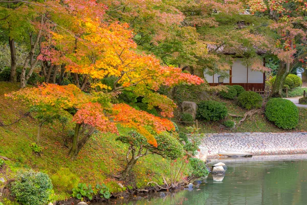 Herbstbäume im Herbst Park — Stockfoto