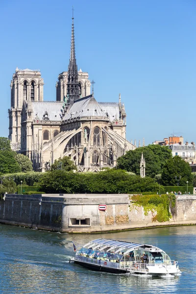 Собор Нотр-Дам Парижа з круїз — стокове фото