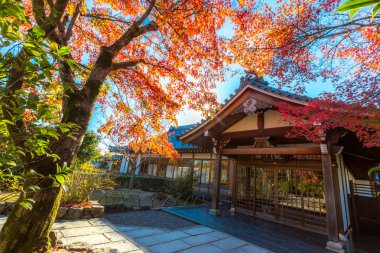 Tenryu-ji Tapınağı Arashiyama Kyoto
