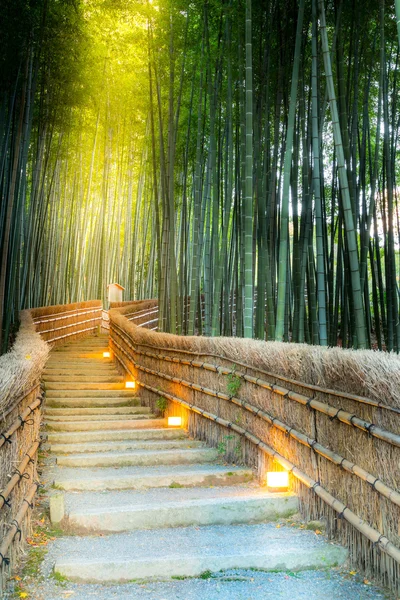 Forêt de bambous d'Arashiyama — Photo