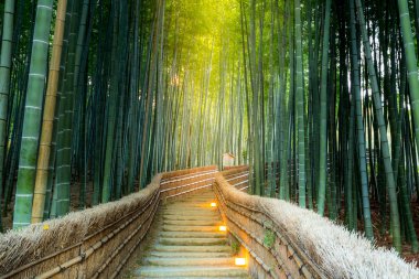 Arashiyama Bamboo Forest clipart
