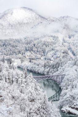 Manzara kış ve kar kaplı ağaçlar 