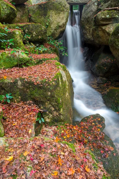 Parque Momijidani no Japão — Fotografia de Stock