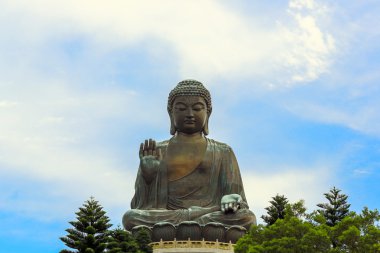 Dev Buda, hong kong