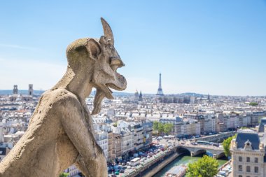 Gargoyle notre dame de paris
