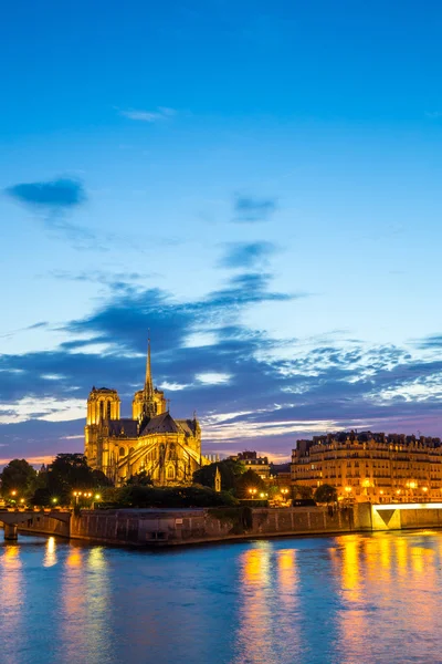 Catedral de Notre Dame París — Foto de Stock