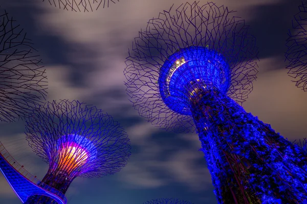 Gardens by the Bay — Stock Photo, Image