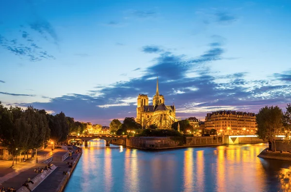 Панорама собору Паризької Богоматері — стокове фото
