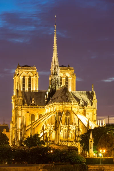 Katedra Notre dame — Zdjęcie stockowe