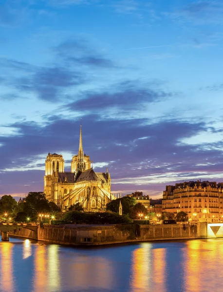 París Notre Dame Panorama —  Fotos de Stock