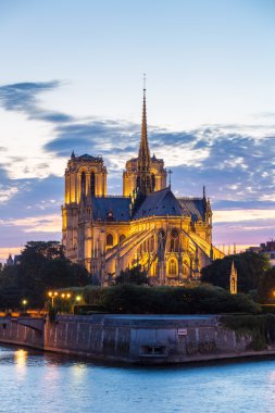 Paris 'teki Notre Dame Katedrali