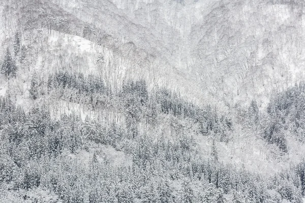 Snöfall med skog — Stockfoto