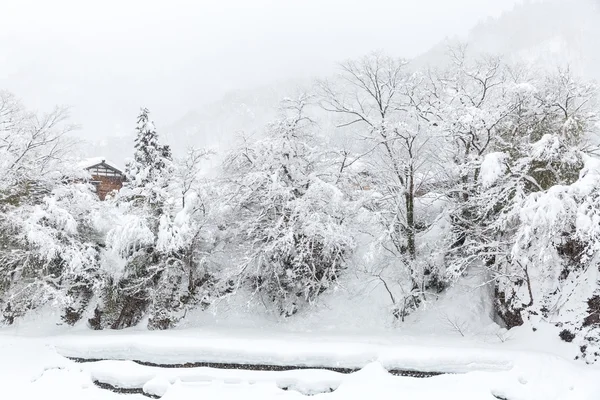 Shirakawago winterlandschap — Stockfoto