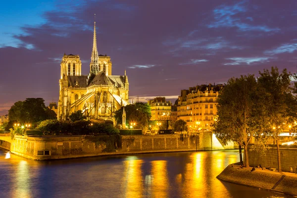 Cattedrale di Notre Dame a Parigi — Foto Stock