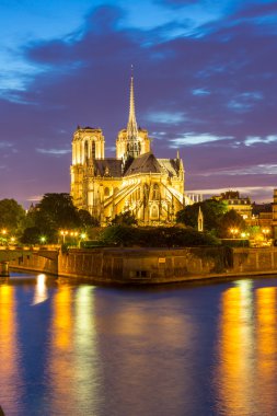 Alacakaranlıkta Paris'teki Notre Dame Katedrali