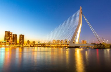 Rotterdam 'daki Erasmus Köprüsü