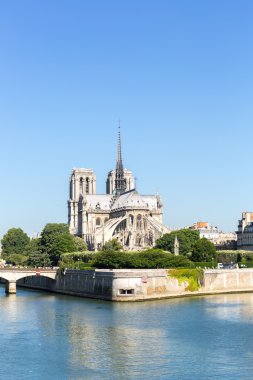 Katedral Madam Paris değil