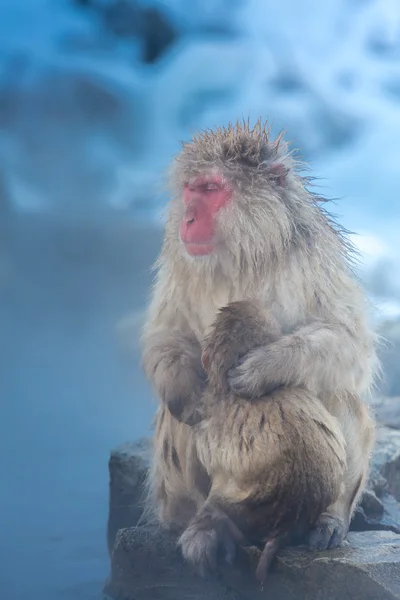 Schneemasken-Onsen — Stockfoto