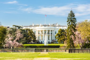 Washington 'daki Beyaz Saray.