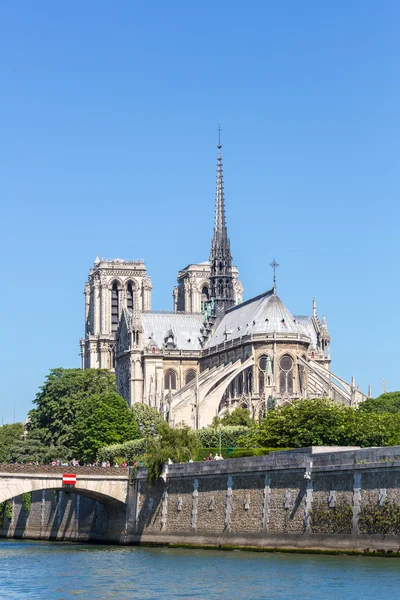 Cattedrale notre dame Parigi — Foto Stock