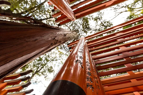 Torii-Tore — Stockfoto