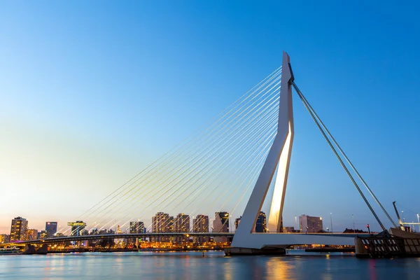 Most Erasmus v Rotterdamu — Stock fotografie
