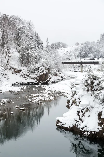 Neve paesaggio invernale Shirakawago — Foto Stock