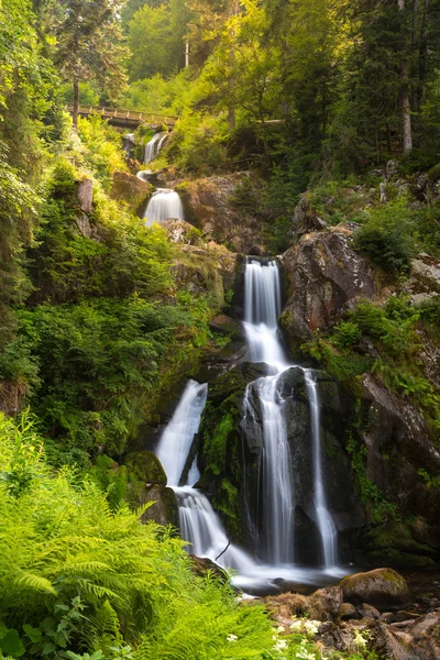 Cachoeiras de Triberg na Alemanha — Fotografia de Stock