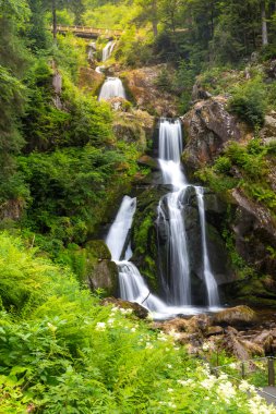 Almanya'da Triberg şelaleler