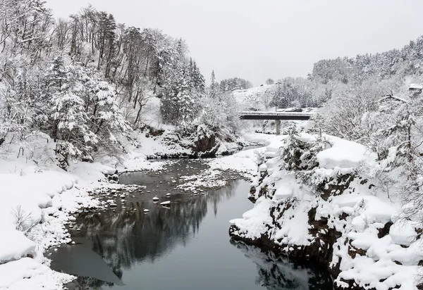 Shirakawago winterlandschaft in japan — Stockfoto