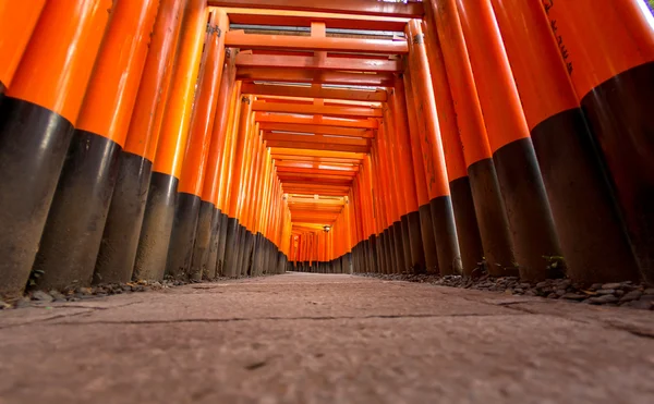 Puertas Torii en Kyoto — Foto de Stock