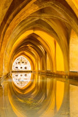 Sevilla Kraliyet Alcazar 'ı