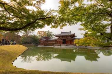 Byodo-in Japonya tapınakta