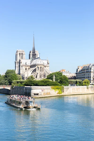 Cathedral Notre Dame Paris with cruise — Stock Photo, Image