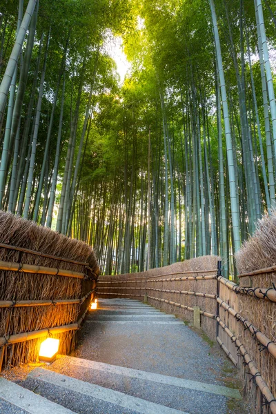 Bosque de bambú Arashiyama en Kyoto —  Fotos de Stock