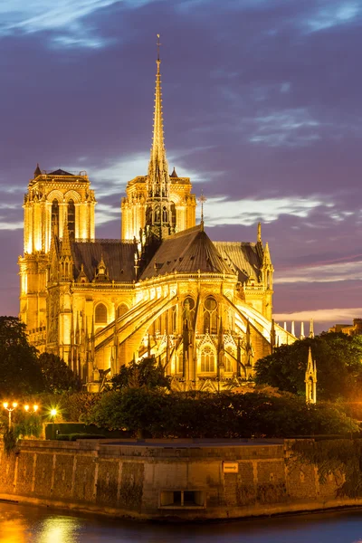 Notre Dame Cathedral in Paris at dusk — Stock Photo, Image