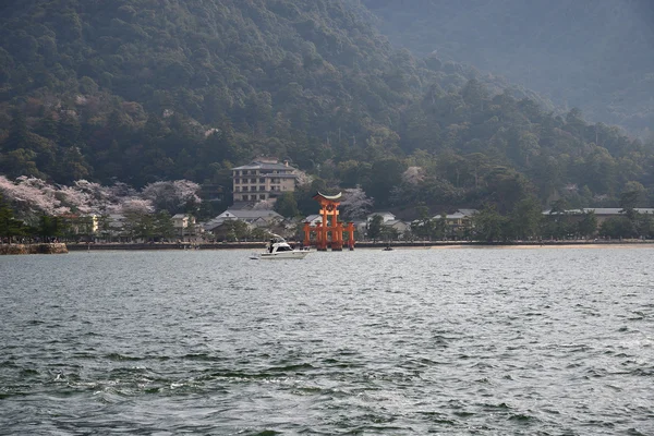 Portão Vermelho Miyajima Com Flor Cereja — Fotografia de Stock