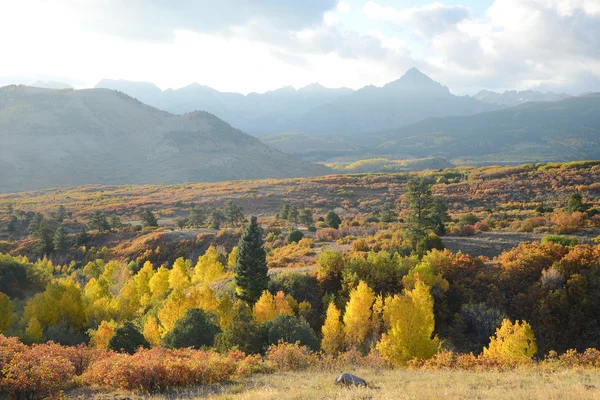 Asp Herfst San Juan Mountains Colorado — Stockfoto